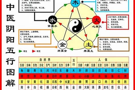 怎麼看自己五行|【怎麼看自己的屬性】怎麼準確預測自己的屬性？一次搞懂五行體。